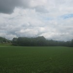 2012-06-11 12.06.21