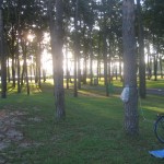 2012-06-22 06.39.04