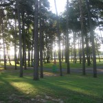 2012-06-22 07.06.41