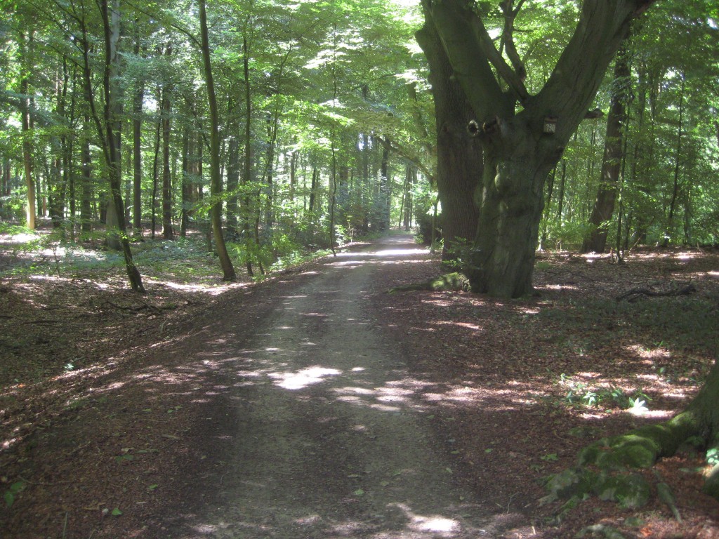 2012-06-22 13.02.16