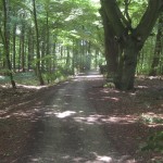 2012-06-22 13.02.16