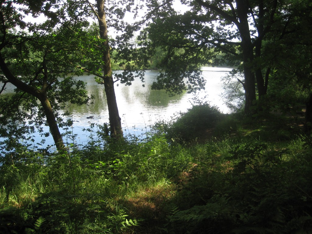 2012-06-22 13.05.02