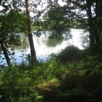 2012-06-22 13.05.02