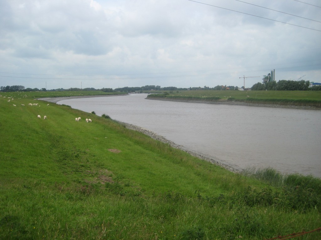 2012-06-23 11.50.46