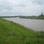 2012-06-23 11.50.46