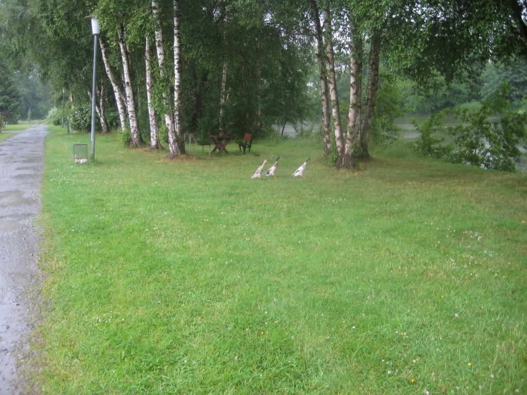 2012-06-24 13.54.09