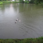 2012-06-24 13.54.26