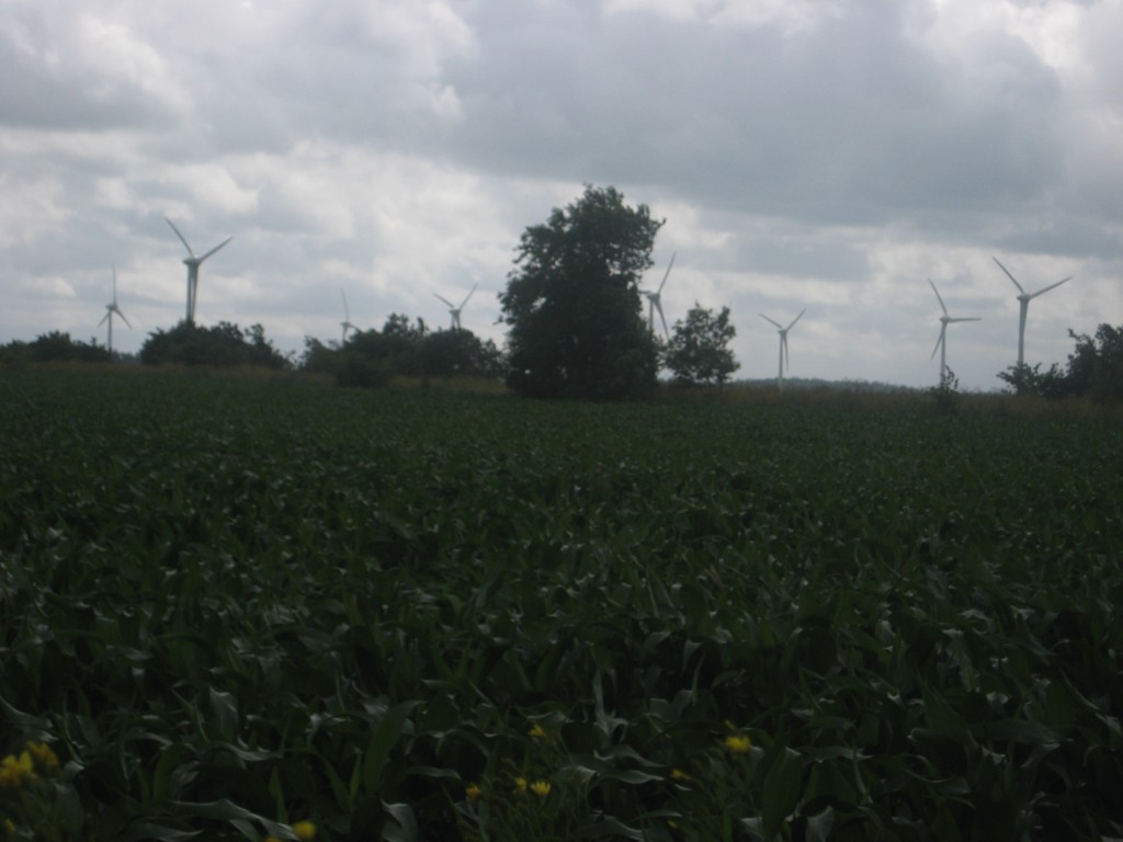 2012-06-25 15.57.12
