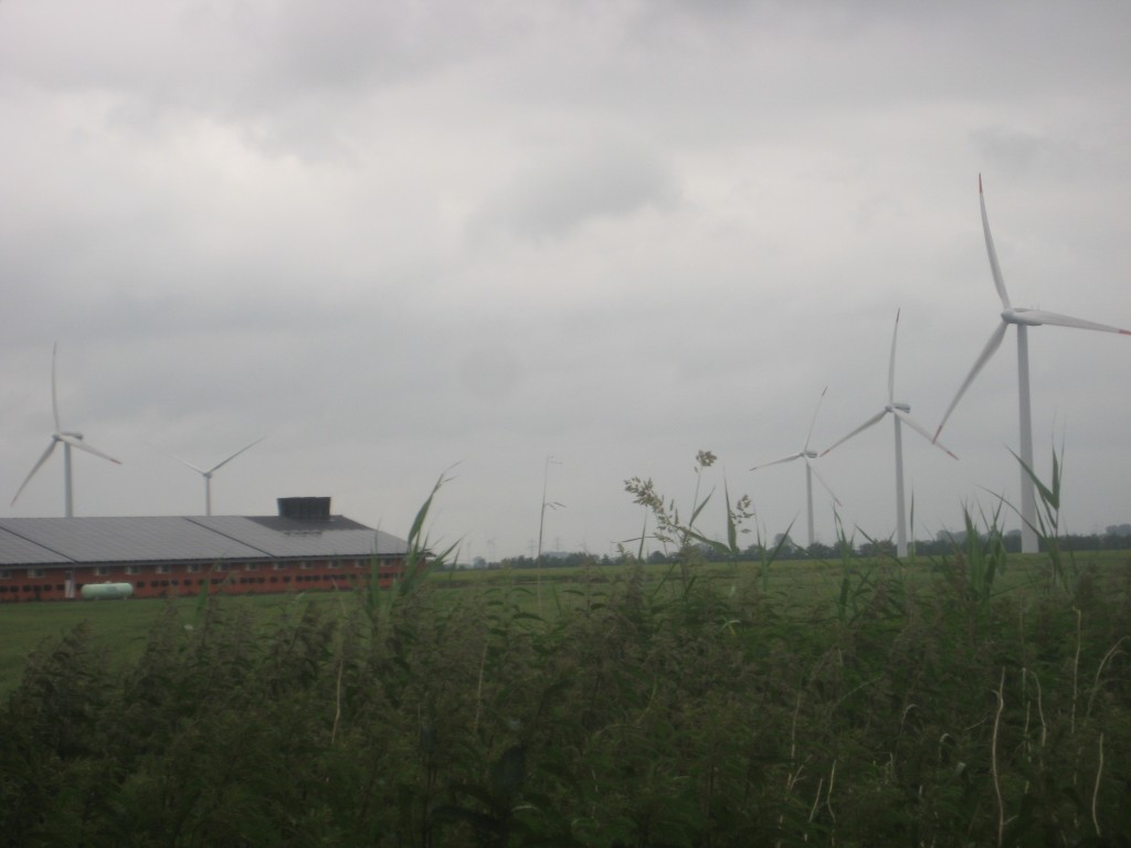 2012-06-26 11.04.47