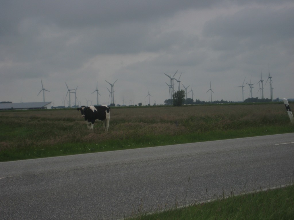 2012-06-27 11.55.16