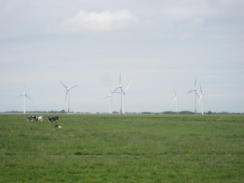 2012-06-27 14.29.22