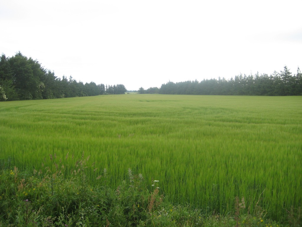 2012-06-28 08.16.19