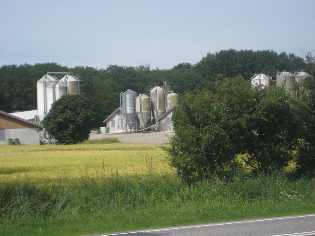 2012-06-28 11.13.25