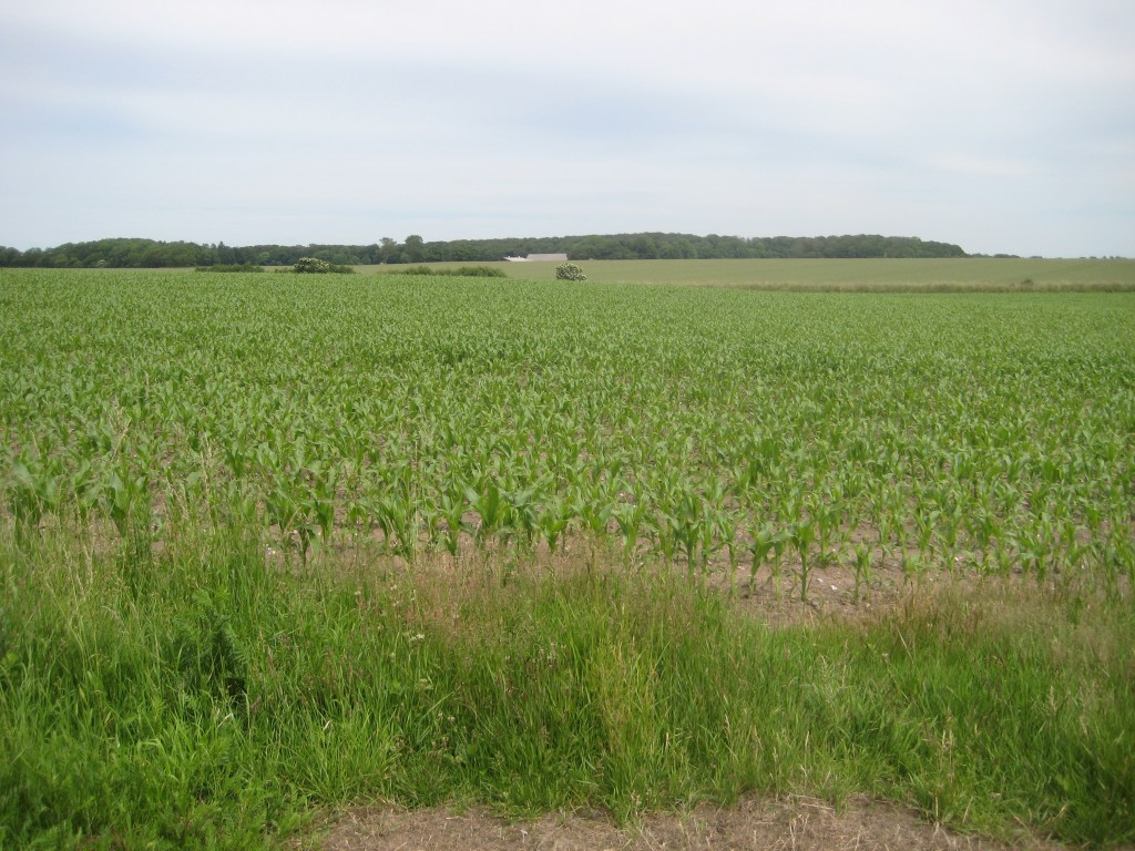 2012-06-28 14.16.37