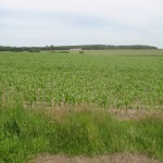 2012-06-28 14.16.37