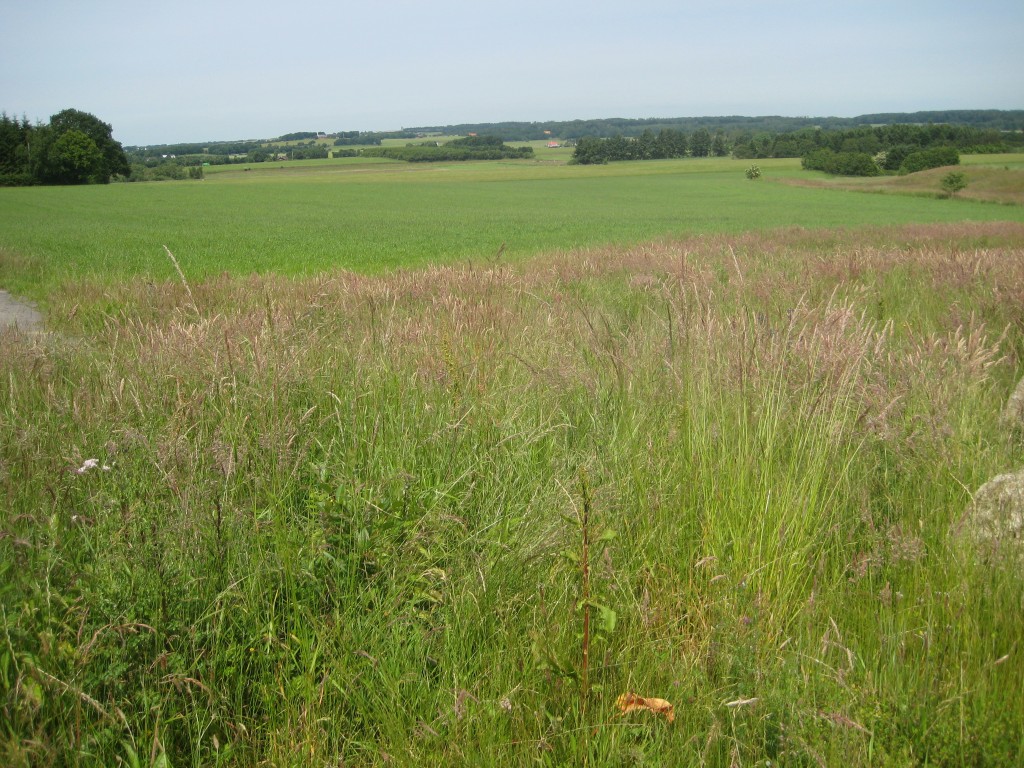 2012-06-28 14.32.35