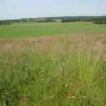 2012-06-28 14.32.35