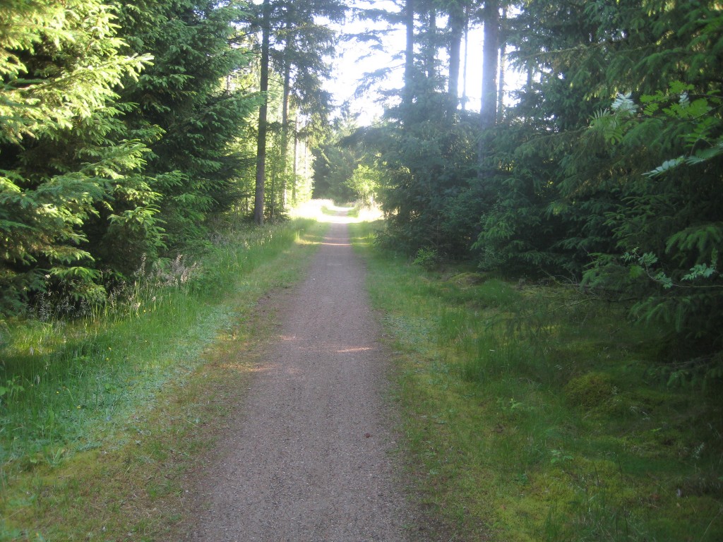 2012-06-30 08.01.52