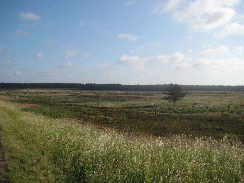 2012-06-30 08.15.17