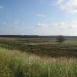 2012-06-30 08.15.17