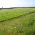 2012-06-30 08.32.35