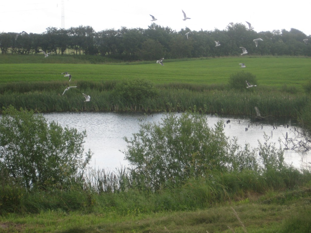 2012-06-30 10.40.21