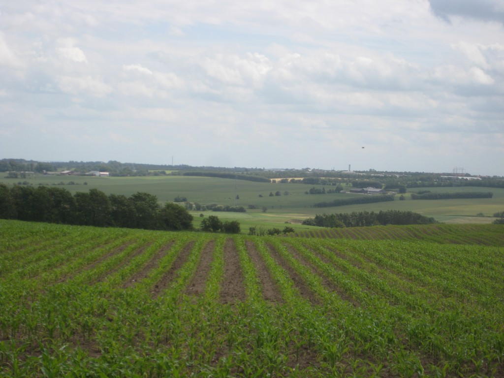 2012-06-30 13.24.50