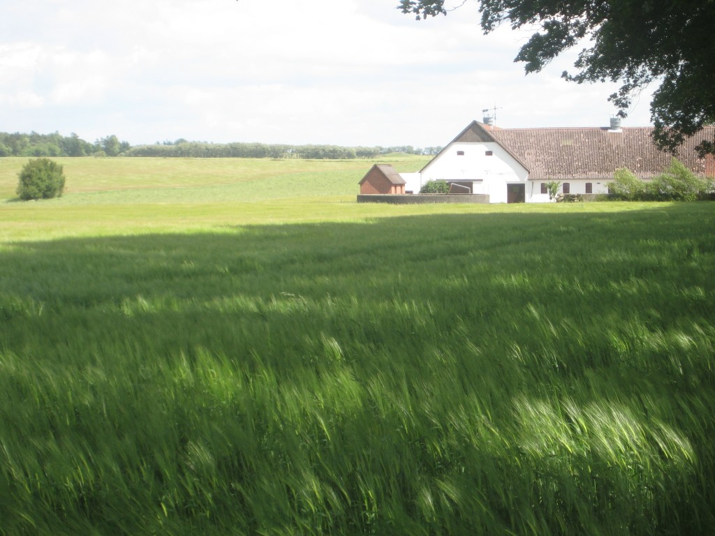 2012-06-30 13.52.03