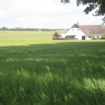 2012-06-30 13.52.03