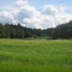 2012-07-01 11.49.01