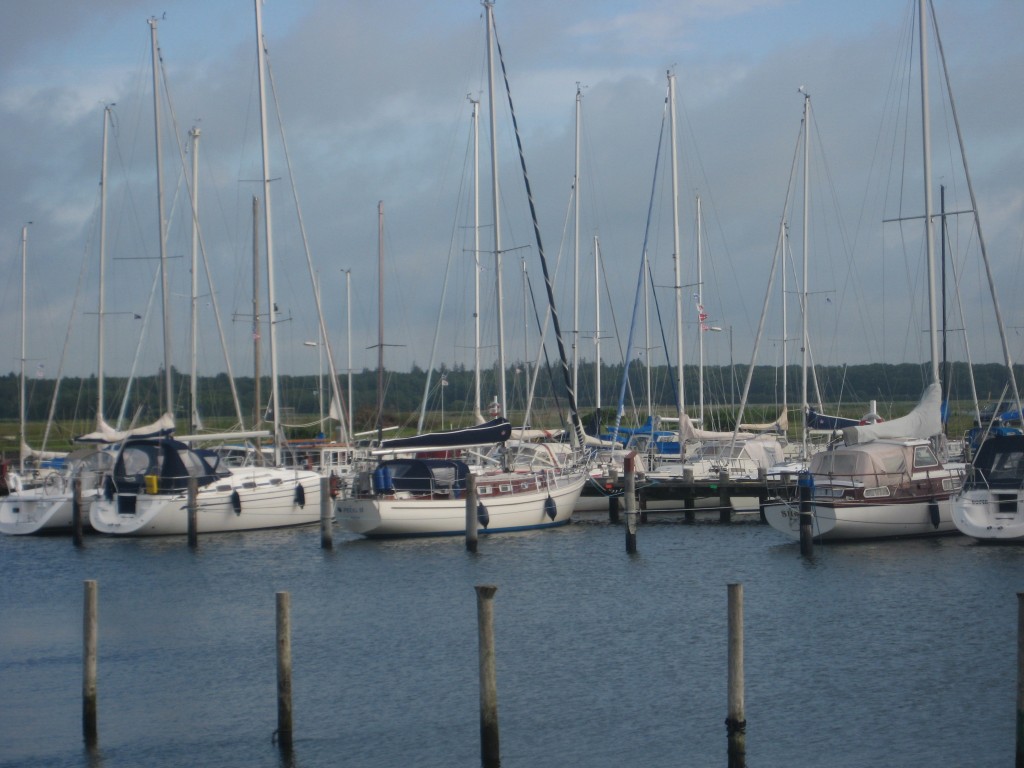 2012-07-02 08.38.32