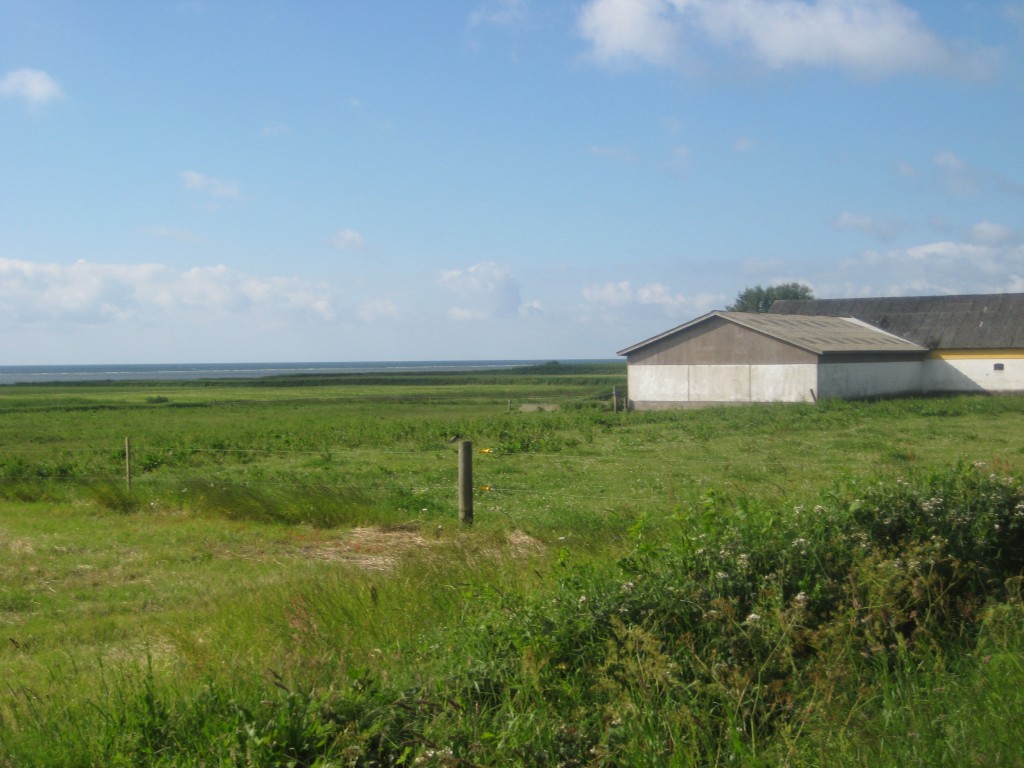 2012-07-02 09.13.36