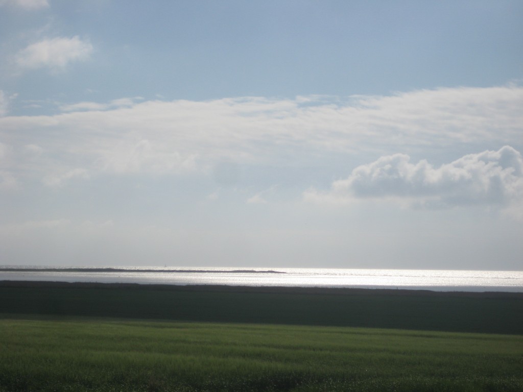 2012-07-02 09.18.02