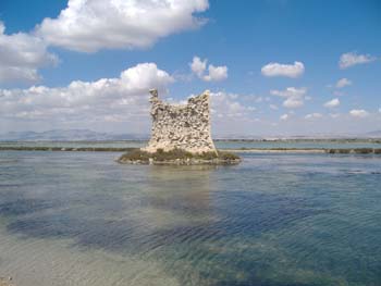 DSCF0629