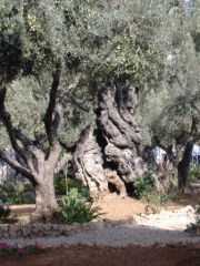 DSCF5611.JPG